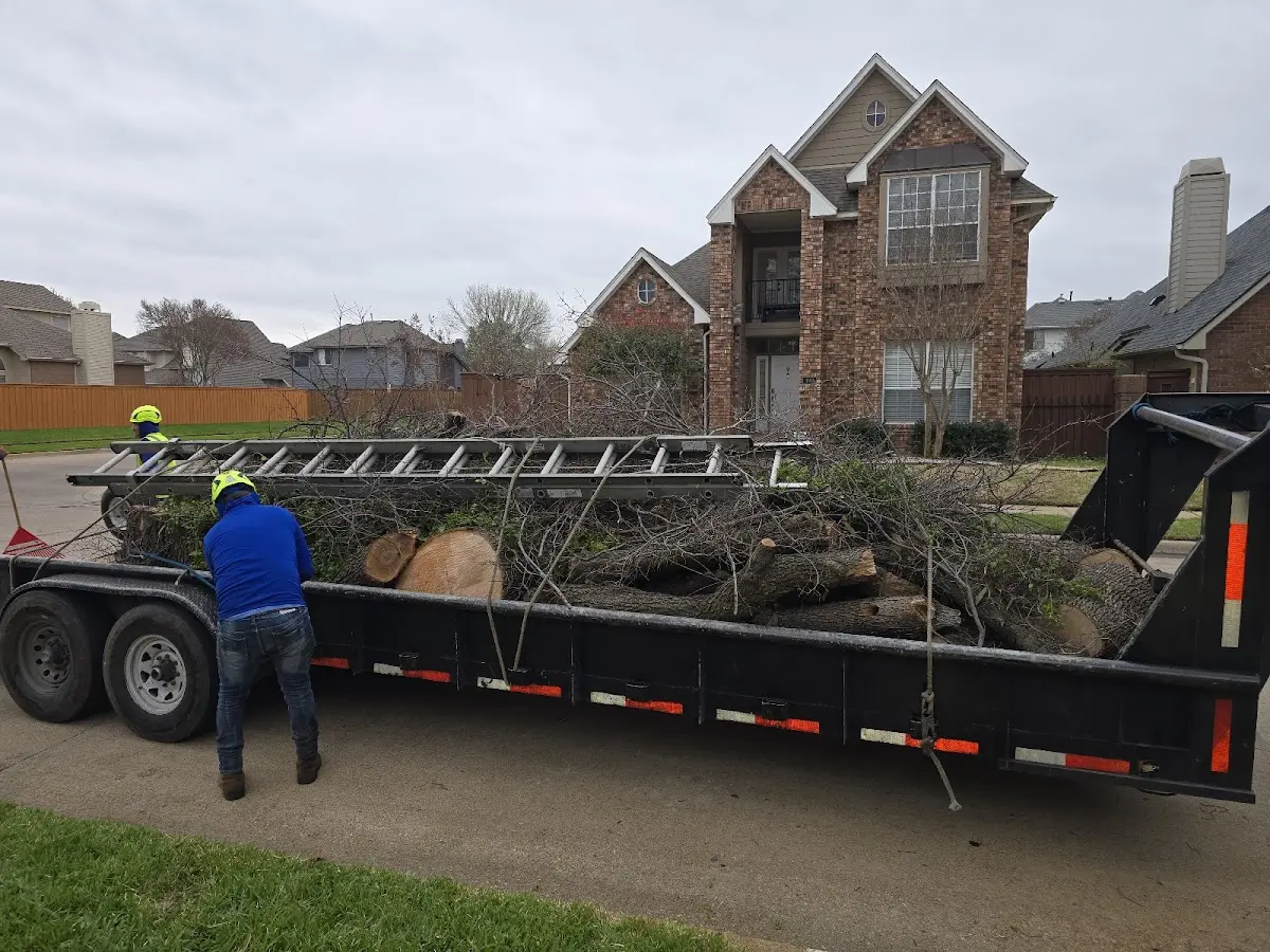 Expert Lot Clearing with proper safety equipment in Brightwaters